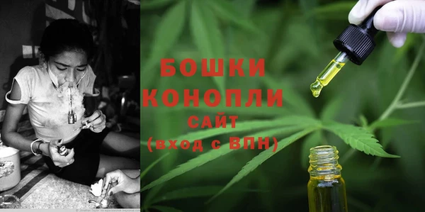 стафф Нефтекумск