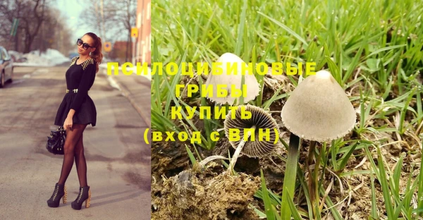 первитин Нея