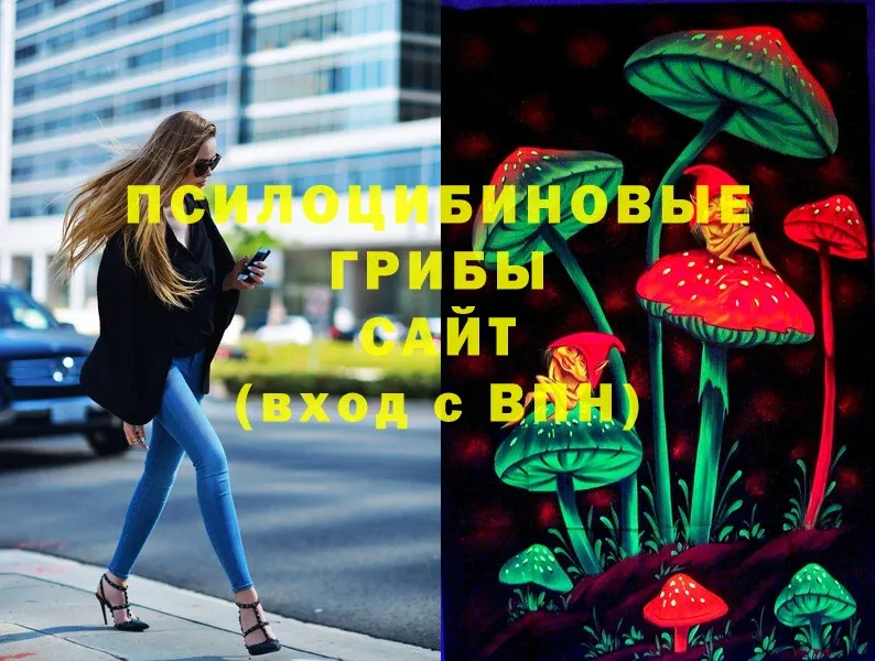 что такое наркотик  Череповец  Псилоцибиновые грибы Psilocybe 