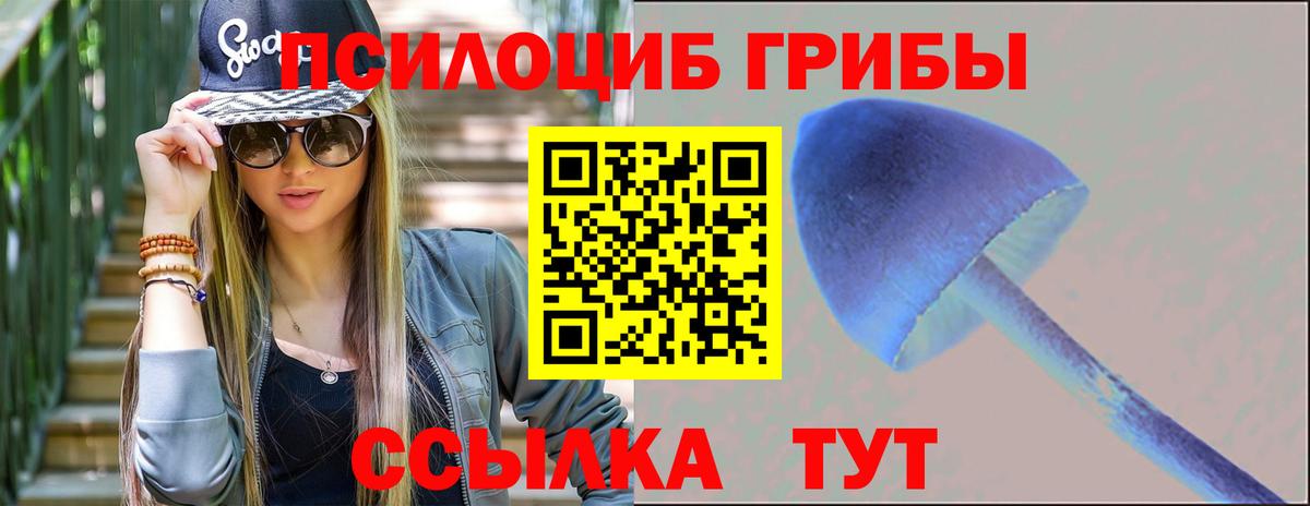 Псилоцибиновые грибы MAGIC MUSHROOMS  Вход с VPN  Череповец 